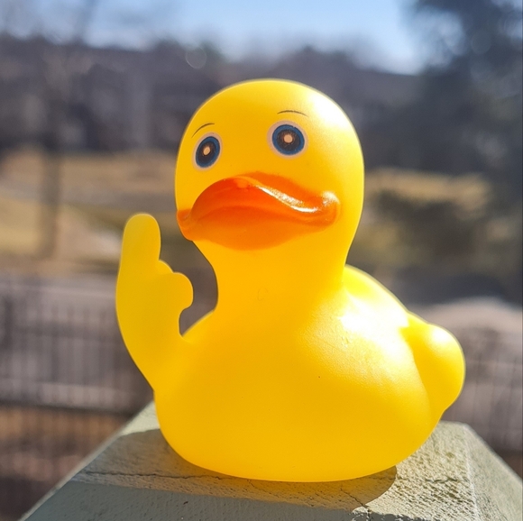 Fluff Off Rude Duck Duck Jeep - Picture 2 of 4